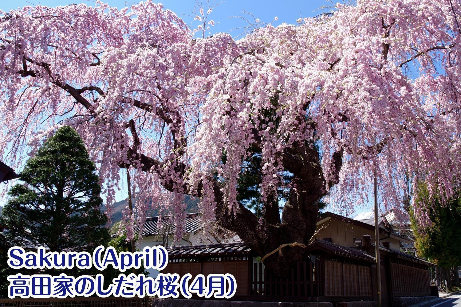 Nikko Stay House Arai - Vacation Stay 14988V Buitenkant foto